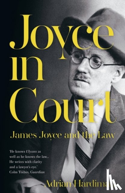Hardiman, Adrian - Joyce in Court