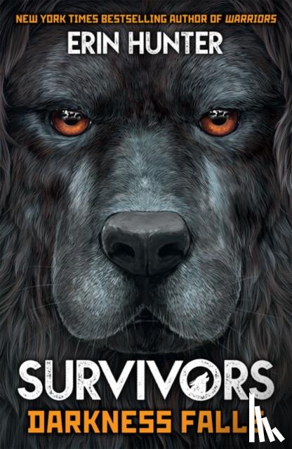 Hunter, Erin - Survivors Book 3: Darkness Falls