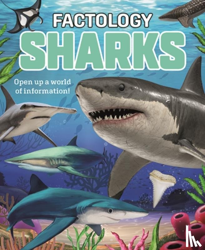Button Books - Factology: Sharks