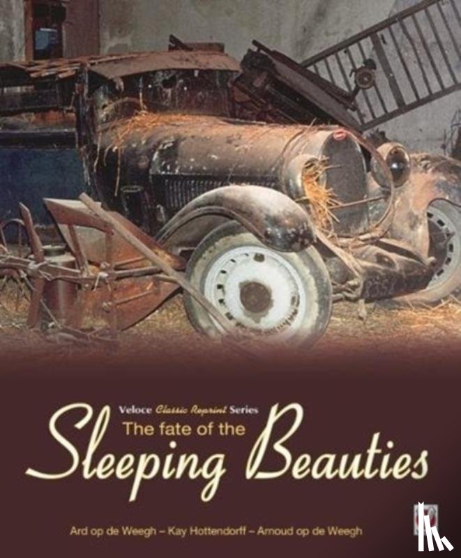 Op De Weegh, Ard - The Fate of the Sleeping Beauties