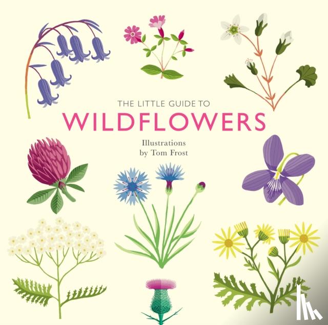 Davies, Alison - The Little Guide to Wildflowers