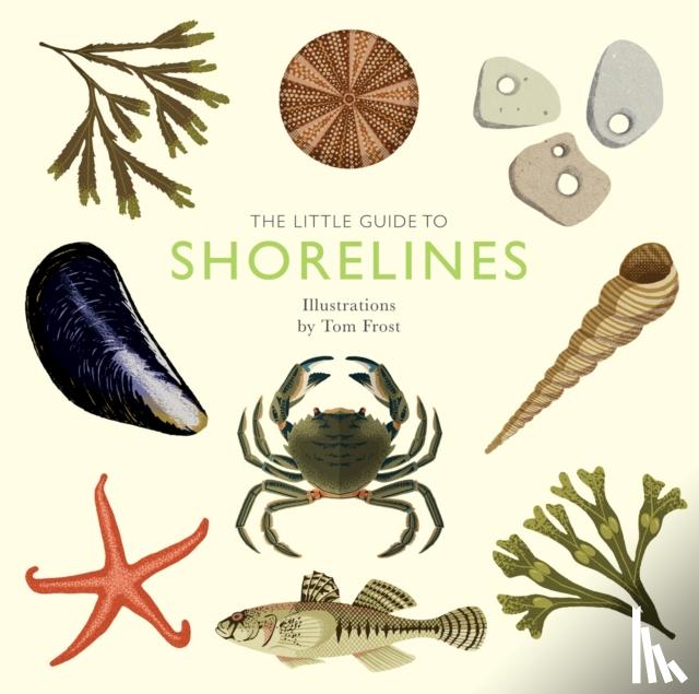 Davies, Alison - The Little Guide to Shorelines