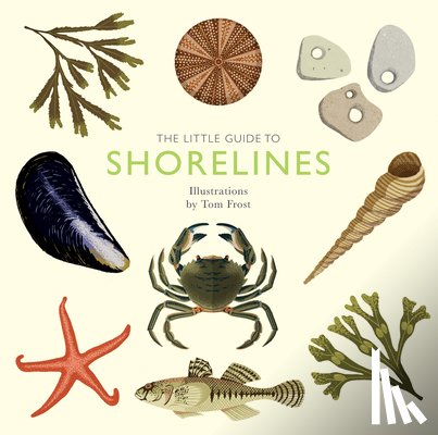 Davies, Alison - The Little Guide to Shorelines