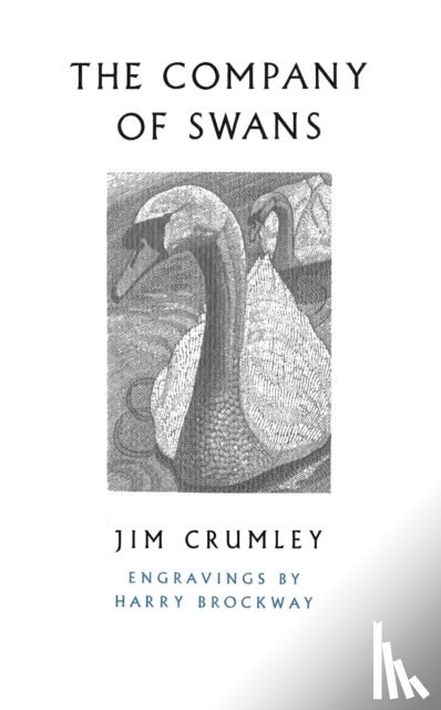 Crumley, Jim - The Company of Swans