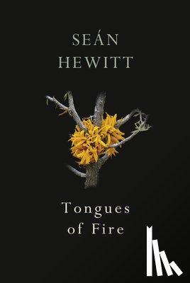 Hewitt, Sean - Tongues of Fire