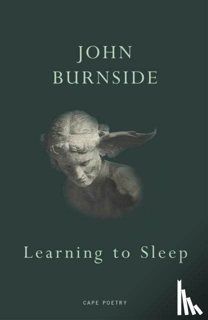Burnside, John - Learning to Sleep