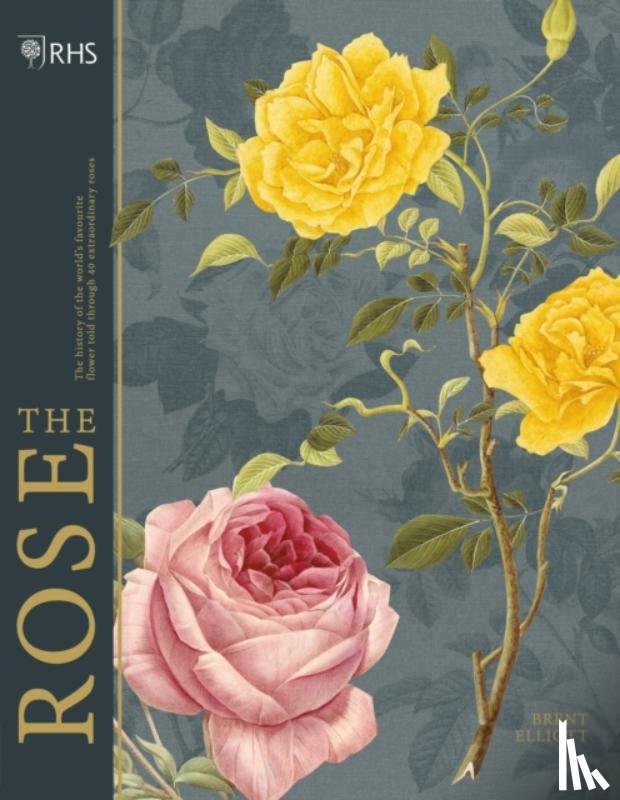 Elliott, Brent - RHS The Rose