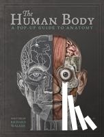 Walker, Richard - The Human Body