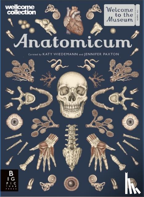 Jennifer Z Paxton, Katy Wiedemann - Anatomicum