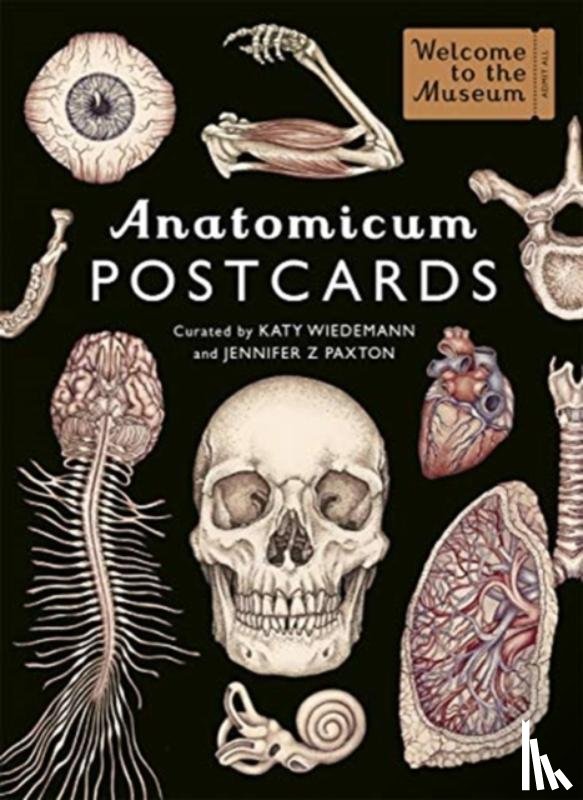 Paxton, Jennifer Z - Anatomicum Postcard Box