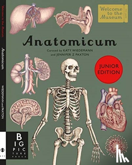 Paxton, Jennifer Z - Anatomicum Junior