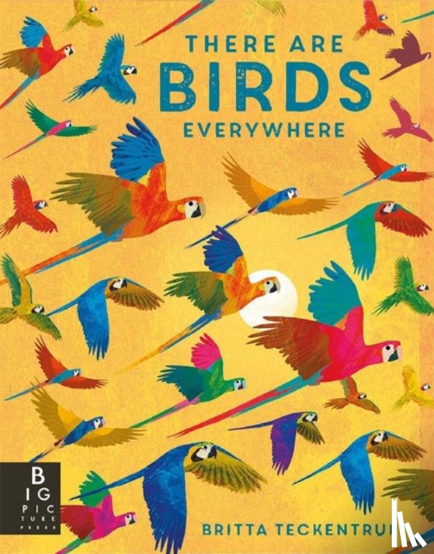 Bedoyere, Camilla De La - There are Birds Everywhere