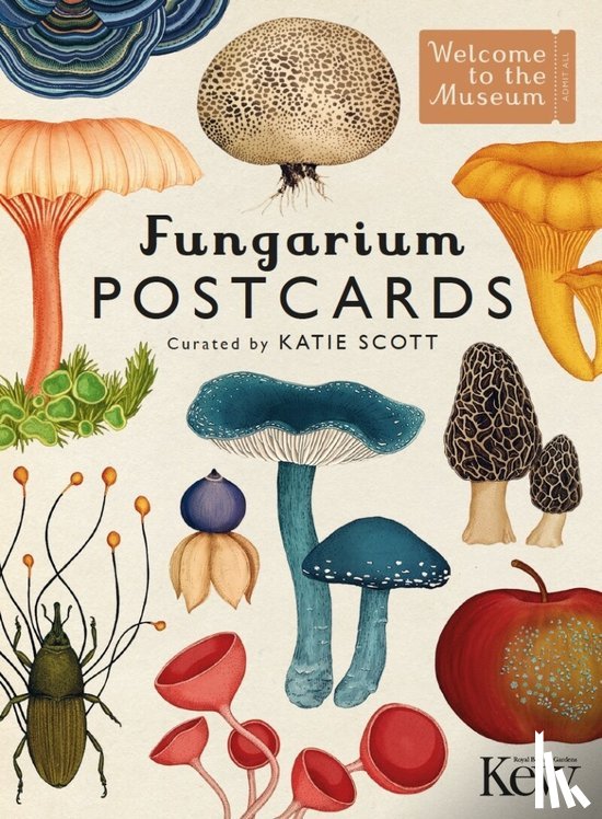 - Fungarium Postcards