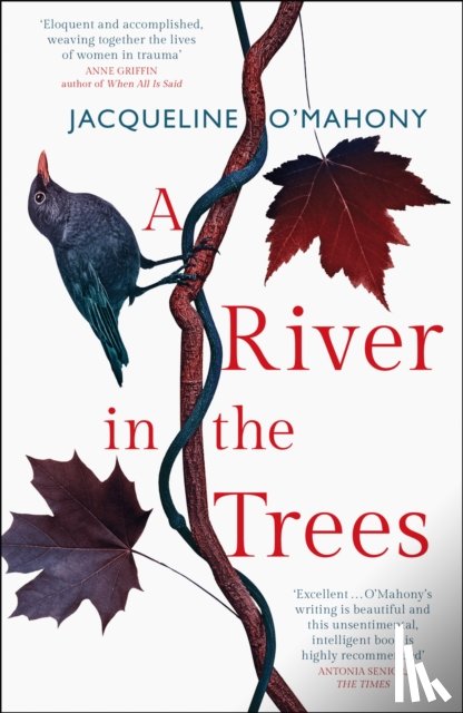 O'Mahony, Jacqueline - A River in the Trees