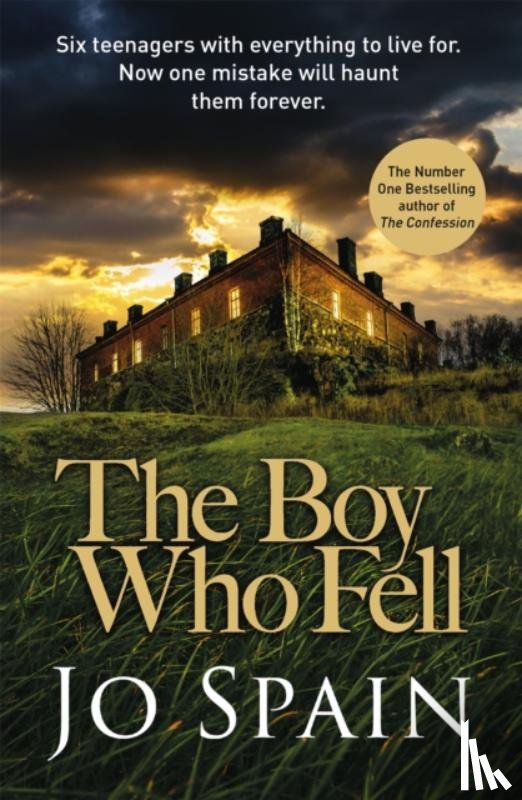 Spain, Jo - The Boy Who Fell