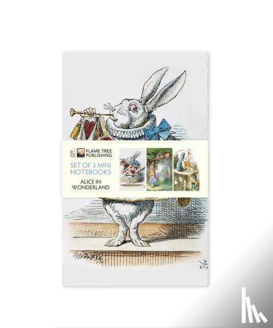 Flame Tree Studio - Alice in Wonderland Mini Notebook Collection