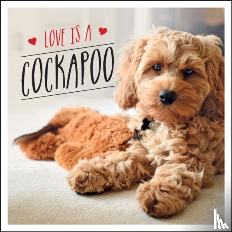 Ellis, Charlie - Love is a Cockapoo