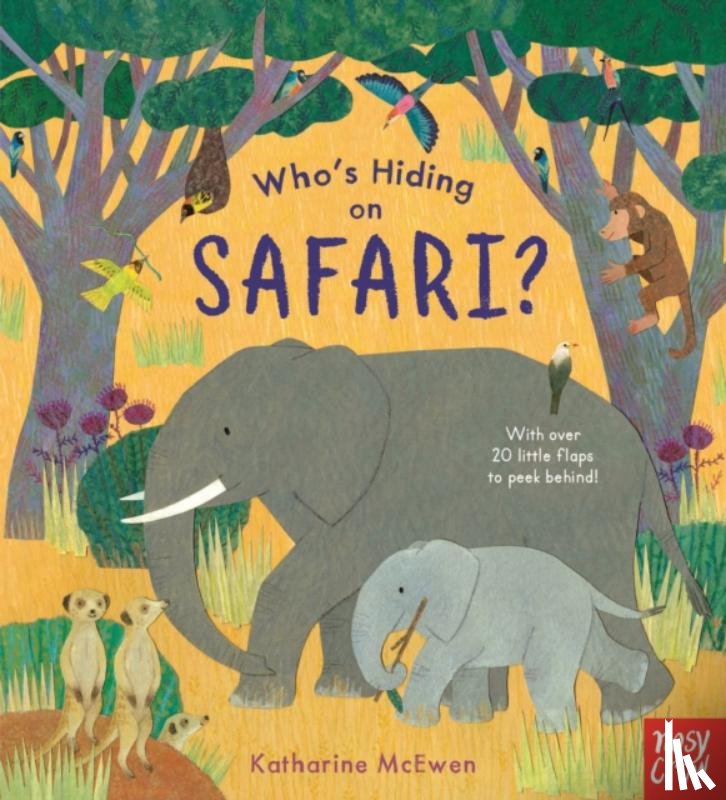  - Who's Hiding on Safari?