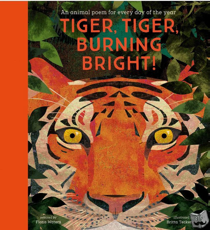 Fiona Waters, Britta Teckentrup - Tiger, Tiger, Burning Bright! - An Animal Poem for Every Day of the Year