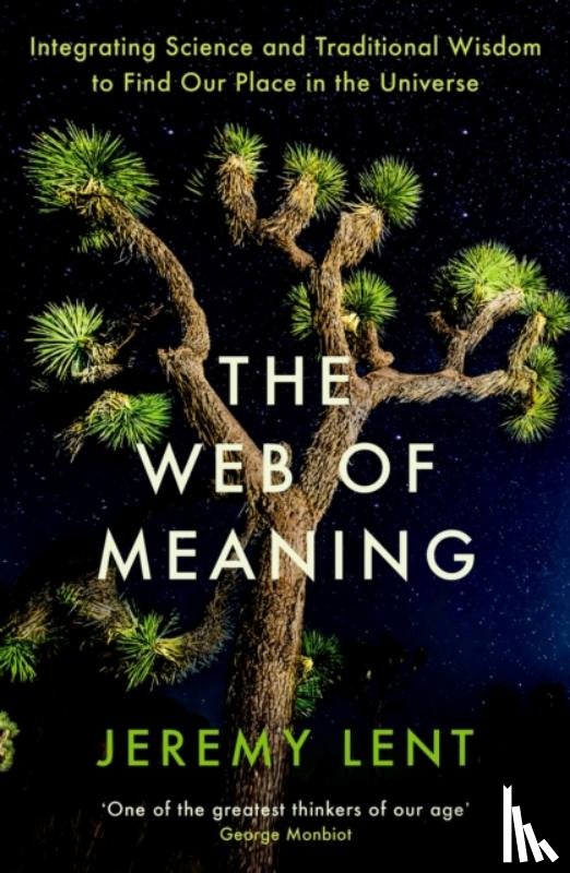 Lent, Jeremy - The Web of Meaning