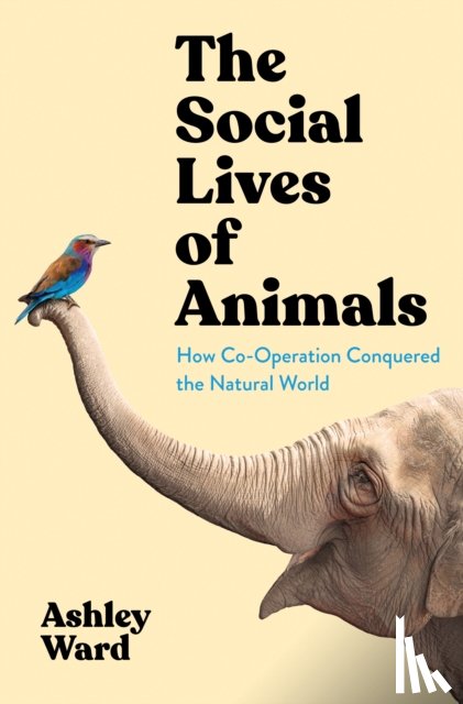 Ward, Ashley - The Social Lives of Animals