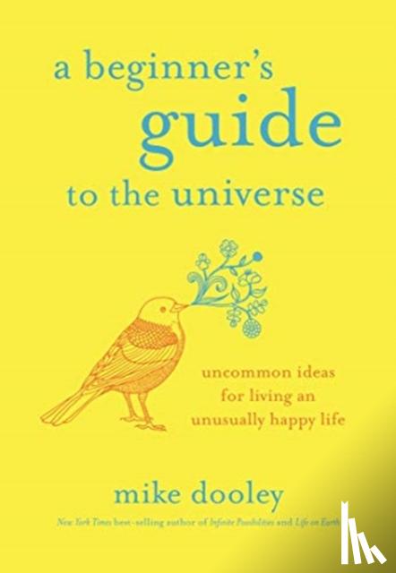 Dooley, Mike - A Beginner's Guide to the Universe