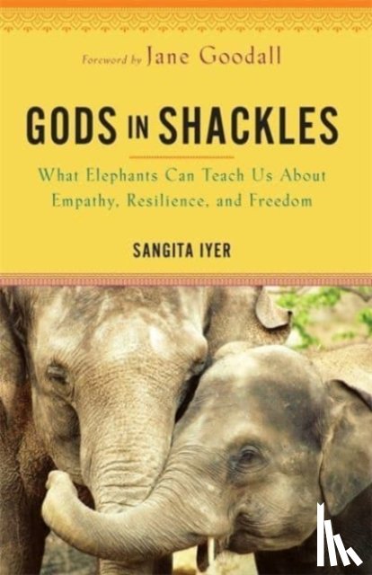 Iyer, Sangita - Gods in Shackles