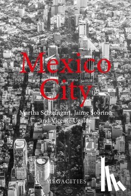Schteingart, Prof. Martha (El Colegio de Mexico, Sobrino, Prof. Jaime (El Colegio de Mexico, Ugalde, Prof. Vicente (El Colegio de Mexico - Mexico City