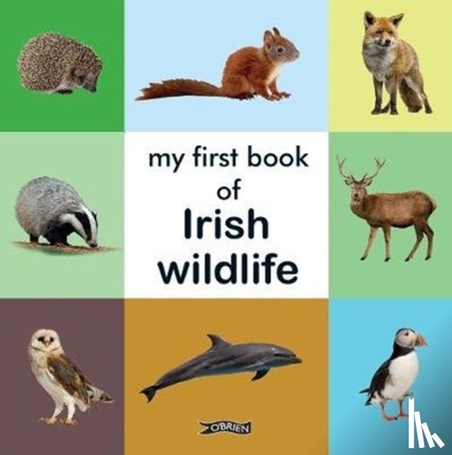  - My First Book of Irish Wildlife