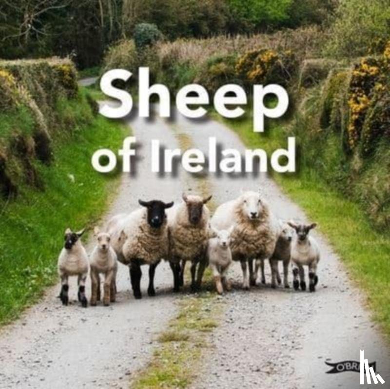 O'Connor, Sarah - Sheep of Ireland