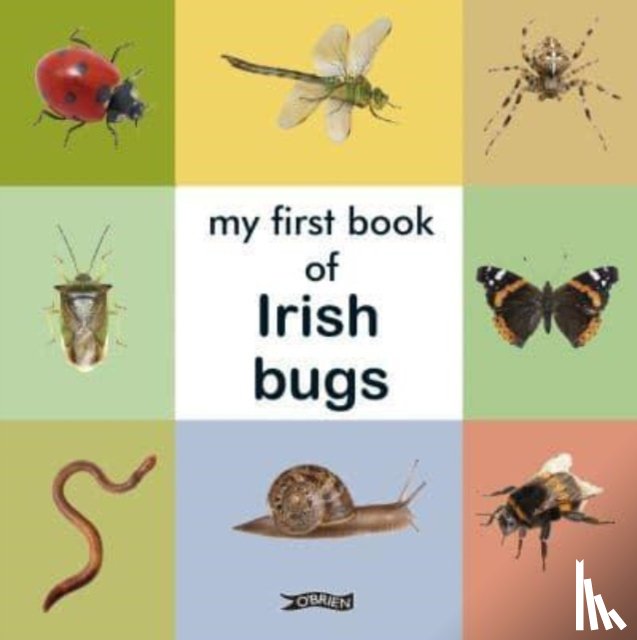  - My First Book of Irish Bugs