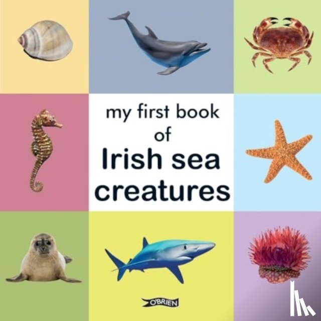 - My First Book of Irish Sea Creatures
