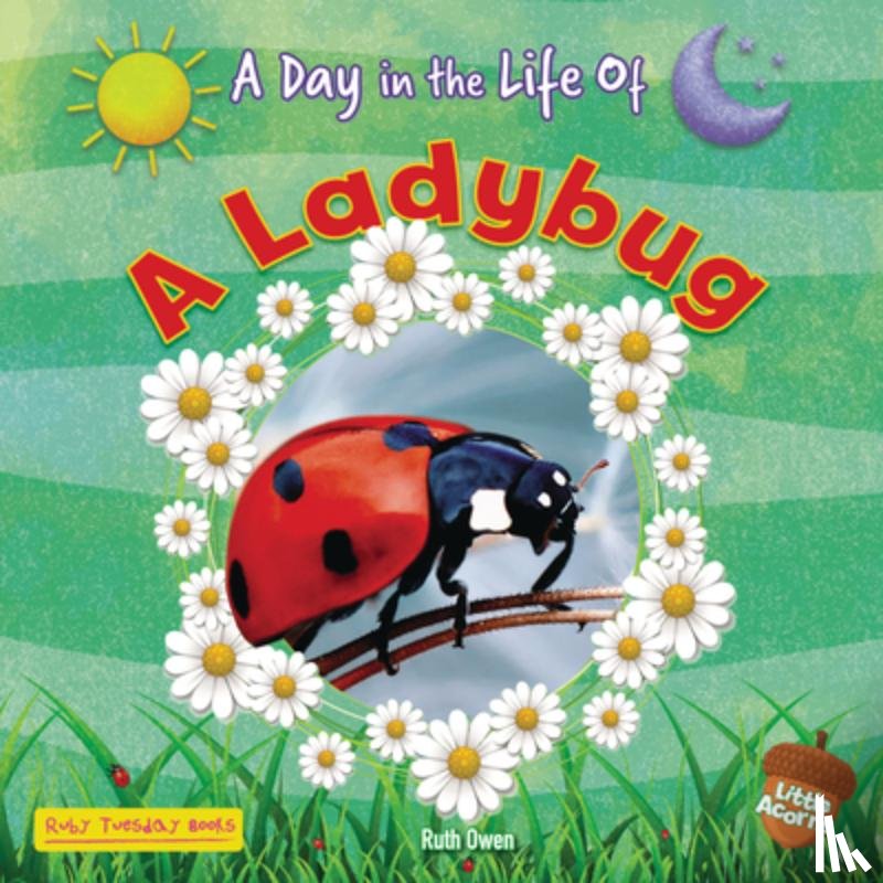 Owen, Ruth - A Ladybug