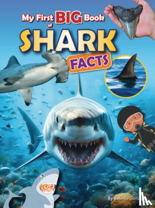 Gallagher, Belinda - My First Big Book of Shark Facts