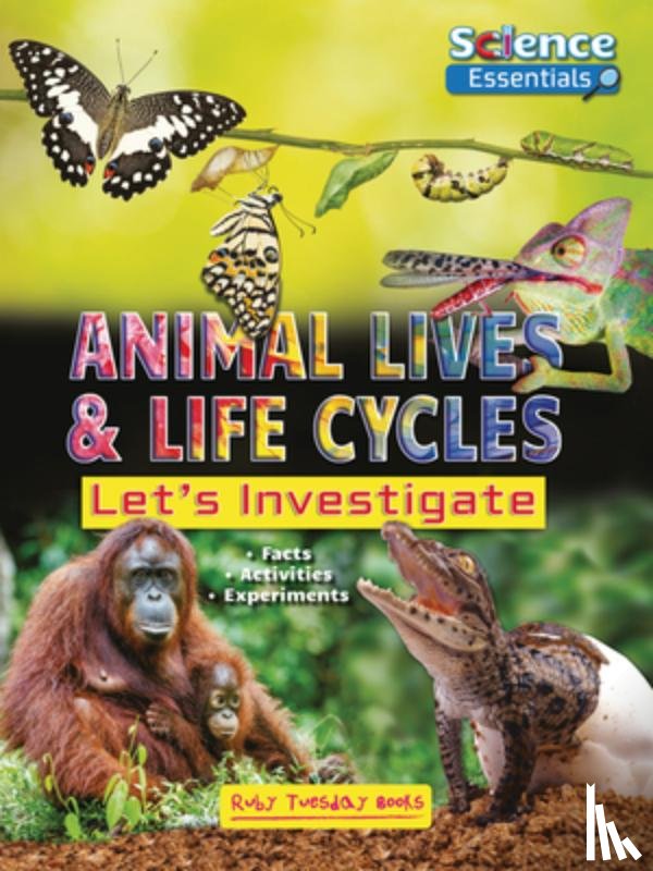 Owen, Ruth - Animal Lives and Life Cycles: Let's Investigate