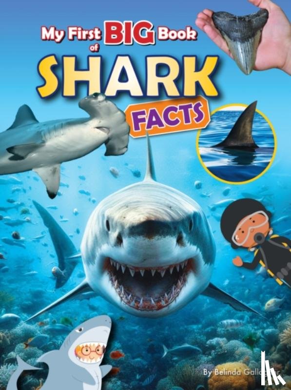 Gallagher, Belinda - My First BIG book of SHARK Facts