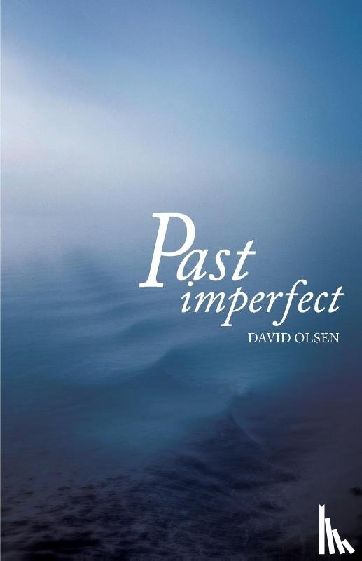 Olsen, David - Past Imperfect
