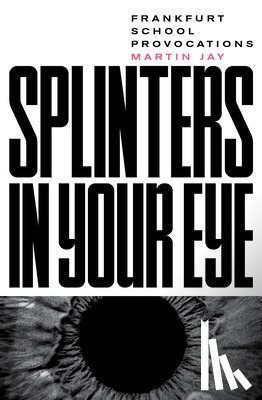 Jay, Martin - Splinters in Your Eye