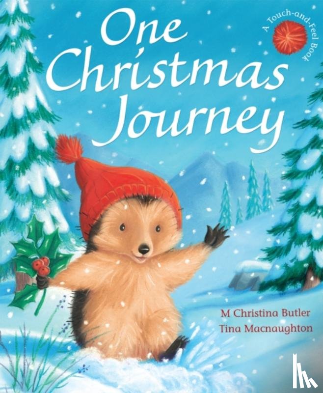 M Christina Butler, Tina Macnaughton - One Christmas Journey