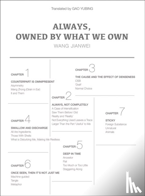 Jianwei, Wang - Always, Owned by What We Own