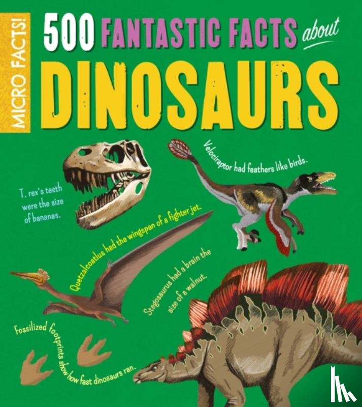 Rooney, Anne - Micro Facts!: 500 Fantastic Facts About Dinosaurs