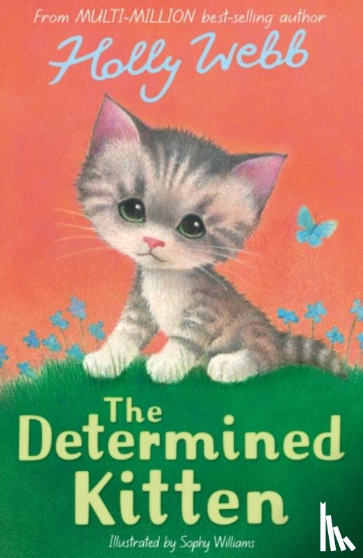 Webb, Holly - The Determined Kitten
