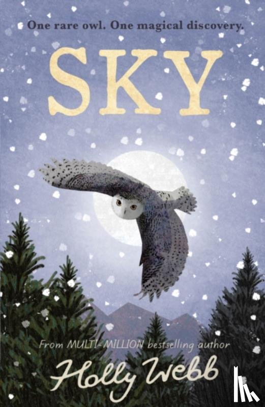 Webb, Holly - Sky