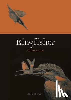 Szabo, Ildiko - Kingfisher