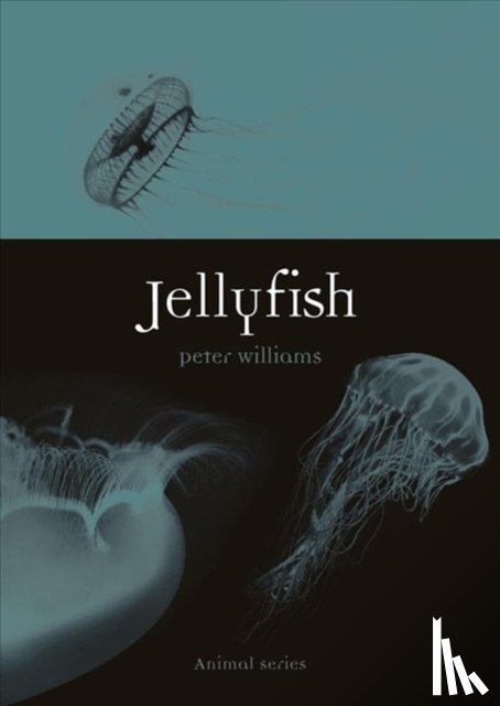 Williams, Peter - Jellyfish