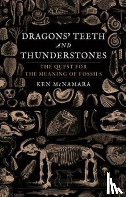 McNamara, Kenneth J. - Dragons' Teeth and Thunderstones