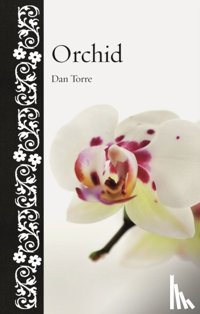 Torre, Dan - Orchid