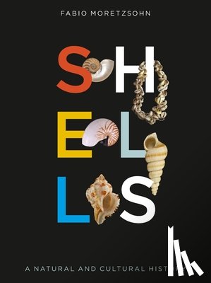 Moretzsohn, Fabio - Shells