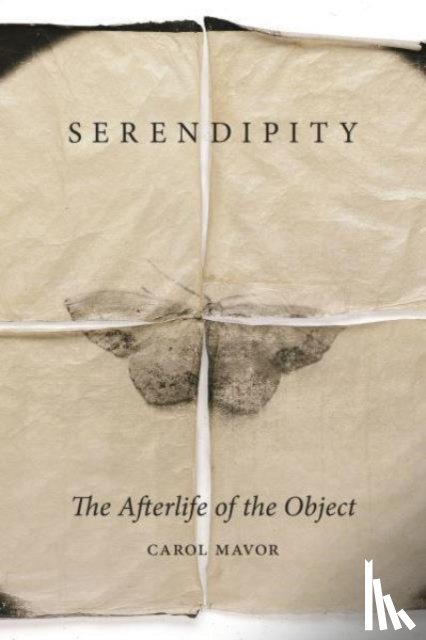 Mavor, Carol - Serendipity