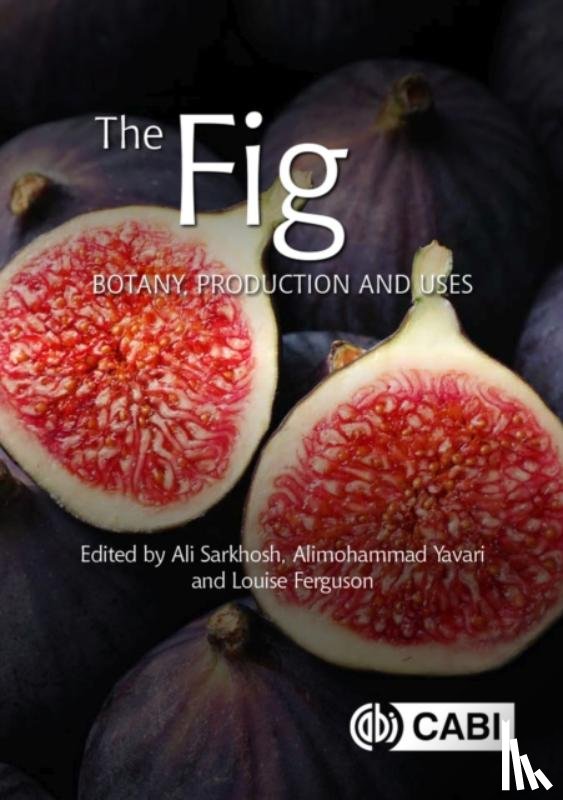  - The Fig